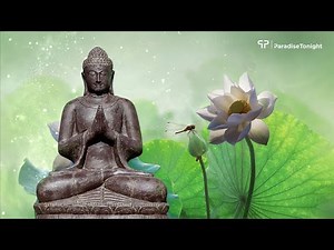 528 Hz Meditation Music, Zen Music, Yoga Music | Relaxing Flute Music