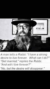 Elizabeth Sheldrake on Reels