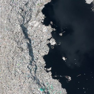 NEW: Hot Pink Flamingo Bracelets!⁠ ⁠ With legs like stilts, beaks like boomerangs, and flamboyant pink feathers, flamingos are perhaps the most recognizable wading bird in the world. Because of their distinct appearance, flamingos are fabulous wildlife ambassadors that illustrate the beauty and diversity we stand to lose if we fail to address the threats they face. ⁠ ⁠ By reducing our consumption of single-use plastic, supporting sustainable fisheries, and keeping the conversation about plastic 