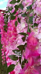 Brunch And Soca St. Vincent🇻🇨 | Brunch And Soca