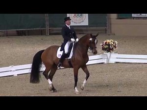 Rafalca & Jan Ebeling - FEI Grand Prix Freestyle - Night of the Musical Freestyles 2013