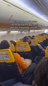 Emergency Exit Handle: Airplane Safety Explained