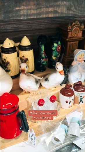 Check out this amazing collection of salt and pepper shakers I found! Which is your favorite?