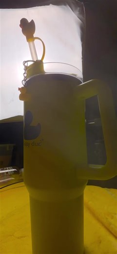 Sippy Duc 3D Duck Key Chain #photokeychains #lizardkeychains #diykeychain #funnyaccessory #jellycatkeychains #customkeychains #memekeychain #pokemonkeychain #coolkeychain #charmkeychain