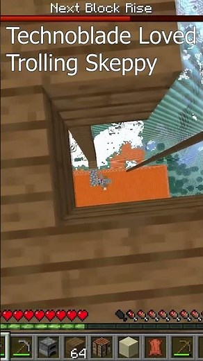 Technoblade Loved Trolling Skeppy 😂#shorts