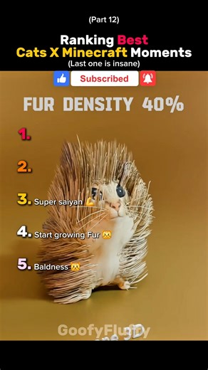 Ranking Best Cats X Minecraft Moments 🔥 (Part 12) #cat #funny #ranking #shorts