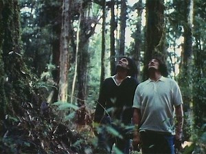 Felling a tree for carving, 1974 | Whakairo – Māori carving | Te Ara Encyclopedia of New Zealand
