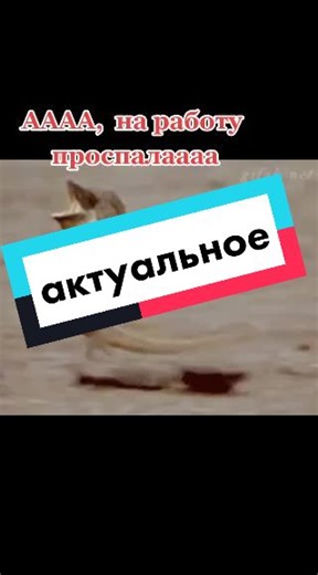 Captivating Lizard in Motion: A Natural Wonder