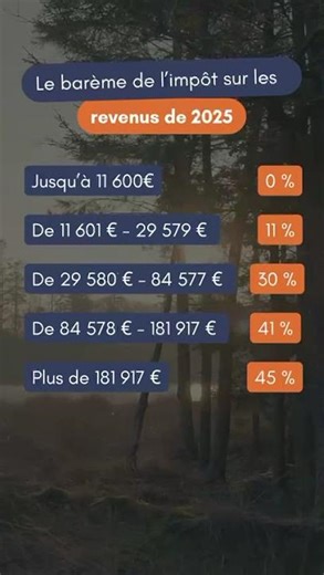 Combien d'impôt sur le revenu allez vous payer cette année ?