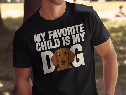 Funny Dachshund T-shirt, My Favorite Child Dog Lover Tee - Etsy
