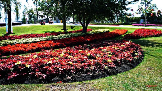 15 Luxury Garden Designs for Peaceful Retreats