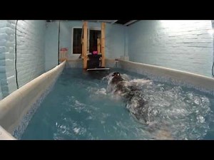 Leon's DIY garage pool