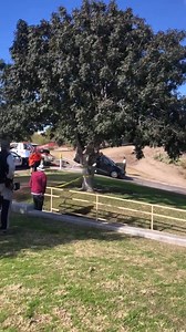 7.7K views · 146 reactions | Vehicle being pulled out of Lakeside Park lake | Whats Up Tucson | Facebook