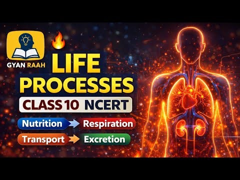 Life Processes || Class 10 Life processes || One Shot || Science || Biology || NCERT || GYAN RAAH 
