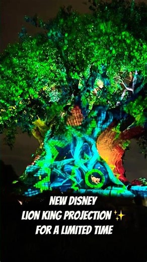 NEW Disney Lion King Projection ✨ | Tree of Life at Animal Kingdom (Holiday Nights!)