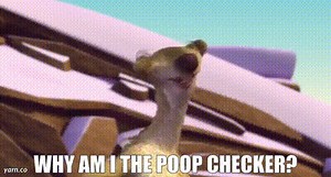 Why am I the poop checker?