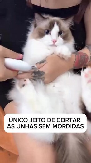 5.4K views · 347 reactions |  Realize os cuidados de higiene do seu...