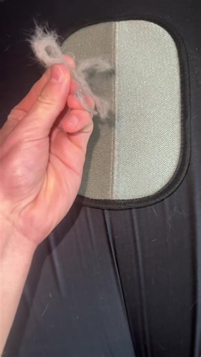 Effective Pet Hair Removal Techniques and Products