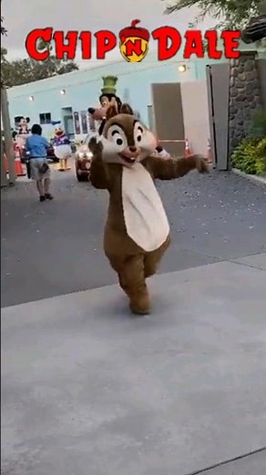 CHIP AND DALE AT DISNEYLAND #isidroaventuras