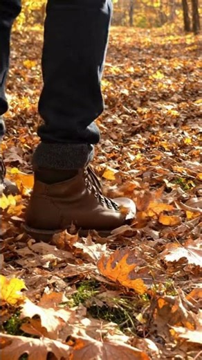 Rustling falling of leaves autumn view
