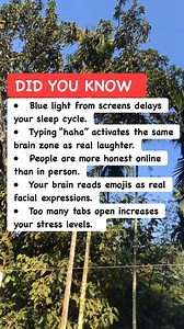 🧠 Social Media Mind Effects #psychologyfacts #humanmind #didyouknow | Amazing Facts