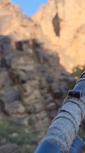 #الوبرالصخري #Hashtagify #RiteTag | أبوعبدالله الحنق الشعاب الحسينه