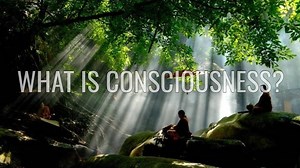 What is Consciousness? Part I of the Documentary Consciousness: Evolution of the Mind – Lifeboat News: The Blog