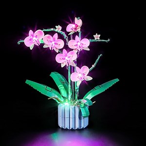 Kyglaring Led Light Kit Designed for Lego Orchid 10311 Plant Decor Model Building Set - No Models (Classic Version)