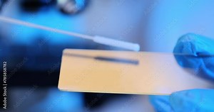 Checking a slide for viruses using a cotton swab