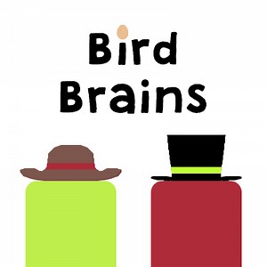 Bird Brains by Tyler Triebold