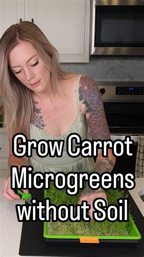 On The Grow │ Microgreens Education | 🌱🥕 Curious about growing Carrot Microgreens on our Silicone Reusable Grow Medium? In this detailed guide, I walk you through every... | Instagram