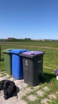 Hieronder vind je de stappen en benodigdheden als je een containerombouw wilt maken. 🌞🛠️