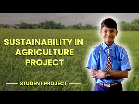 Manure That Makes Organic Farming Practical and Improves Yield