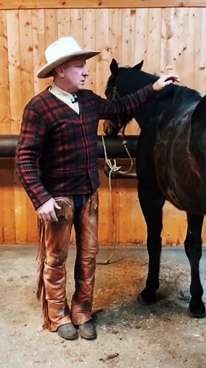 133K views · 2.4K reactions | Watch this saddling demo now at TheBuckChannel.com #buckbrannaman #thebuckchannel #horsemanship | The Buck Channel - Buck Brannaman Horsemanship | Facebook