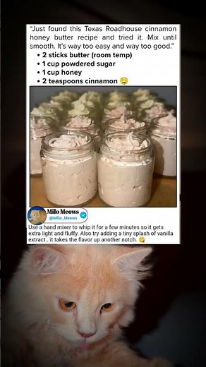 "Texas Roadhouse Cinnamon Honey Butter... at Home in 4 Ingredients! 🤤