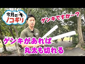 [Saw of the Month] Introducing a large felling saw that is rumored to boast the fastest cutting s...