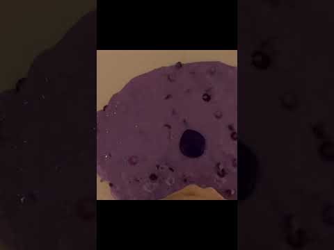 Idk. Worthless slime asmr