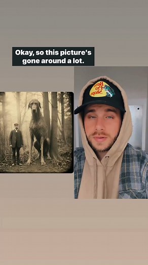 Giant Irish Wolfhound? The story is that this image was taken back in 1902 and the giant Irish Wolfhound dog was the last of its kind. The quality and style of the picture replicated that of the era. BUT that is false. This is an AI generated photo using MidJourney. Hope that helps.