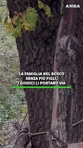39K views · 376 reactions | La famiglia nel bosco senza più figli, i giudici li portano via. Il padre: "Mia moglie e i bimbi potrebbero tornare in Australia" #ANSA | ANSA.it | Facebook