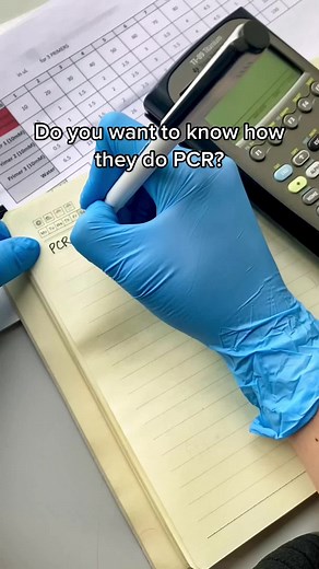 Understanding PCR: Process, Enzymes, and Applications