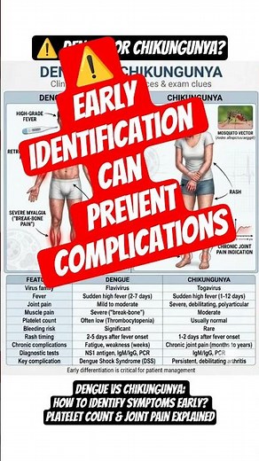 Dengue vs Chikungunya: How to Identify Symptoms Early? Platelet Count & Joint Pain Explained #health