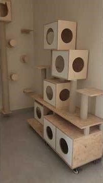 Arabian life And good life#duet