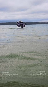 A mermaid in the rain splashes her tail out of the water 💦 Is she splashing with joy, or in outrage? That's the real question to ask! LUCKILY, Mermaid Phantom loves the rain, so this is absolutely a display of joy. 😉🖤 Fall finally feels like it is here now. The weather is getting colder, the leaves are changing colors and Lake Michigan is getting chillier. I hate to see summer leave us... I love mermaid season! But this is my first full year away from working at a school and working for mysel