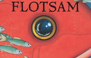 Flotsam and Information Text Writing