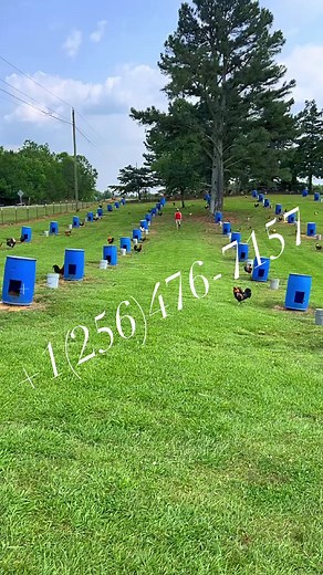 Anthony checking everyone on the tie cord yard | Boneyard farm