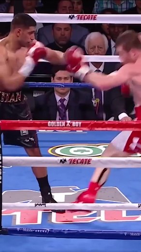 Canelo Alvarez Classic Knockout Highlights
