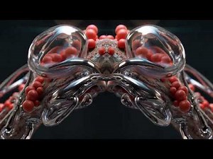 Timelapse- Have to Stay (Original Mix) AUTOMATIK