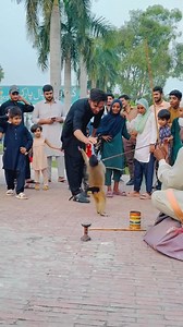 339K views · 5.4K reactions | Dolllar Ke Jhang Monke VS Fans#MonkeyFuns #CuteMonkey #FunTime #USAComedy | LaLa Pendu | Facebook