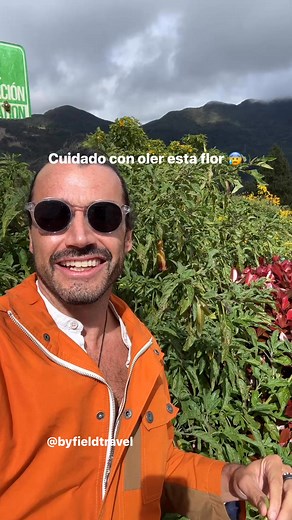 Cuidado con la flor del borrachero, muy común en Colombia #colombia #viajes #datoscuriosos | Christian Byfield Travel