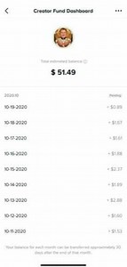 How Much Money Per View on TikTok